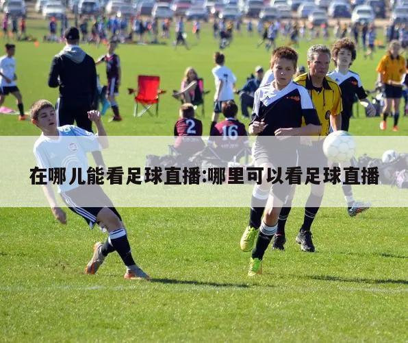在哪儿能看足球直播:哪里可以看足球直播