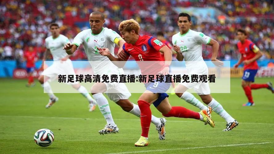 新足球高清免费直播:新足球直播免费观看