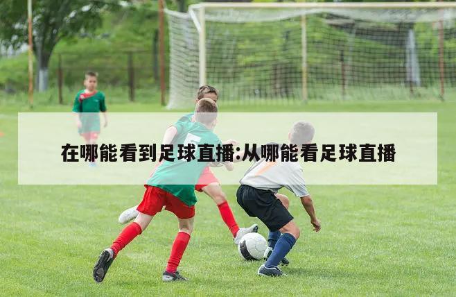 在哪能看到足球直播:从哪能看足球直播